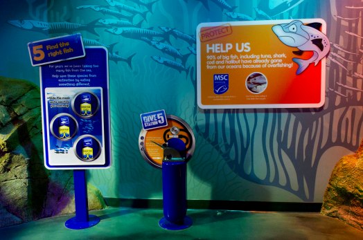 Sea Life Dive Trail Interactives International Roll-out