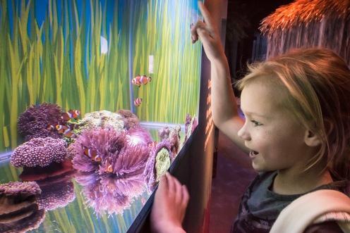 Tallulah Cunliffe at Secrets of the Reef launch at SEALIFE Brighton. photo ©Julia Claxton